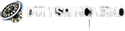 Duffspincasino